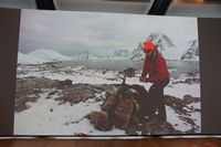 
DSC00290